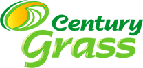Century Grass